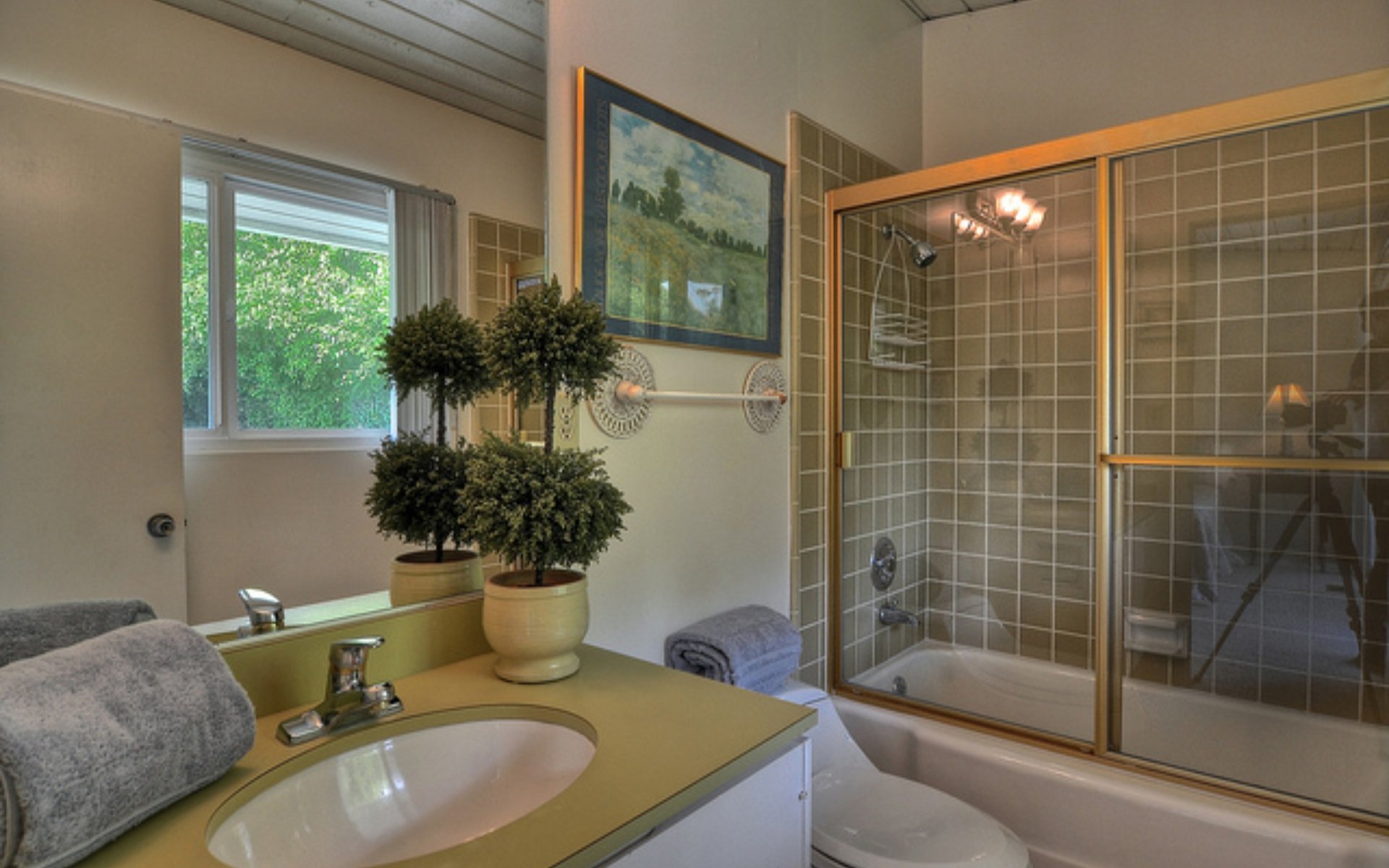 311 Monarch Bay Dr