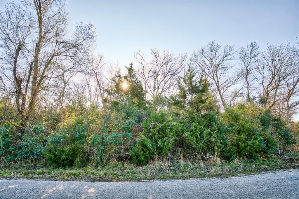 TBD Ellerman Rd Brenham, Tx 77833