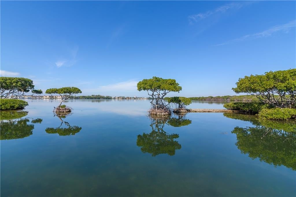 Queens Harbour