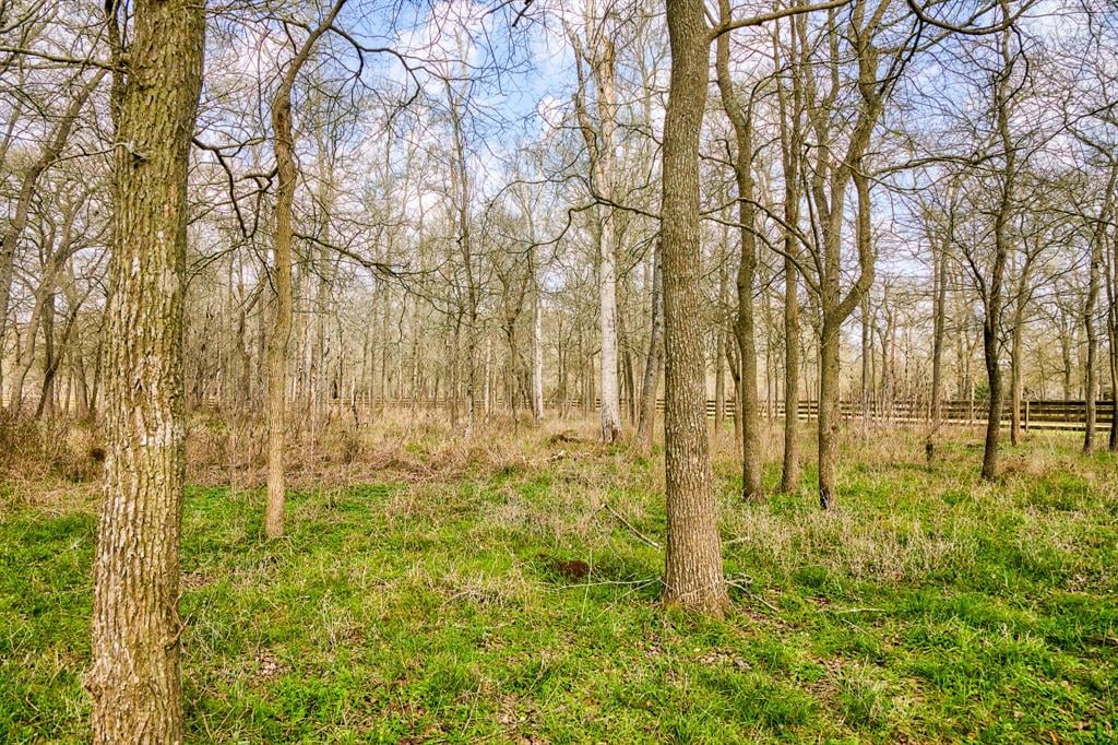 3539 River Rd 8 Acres