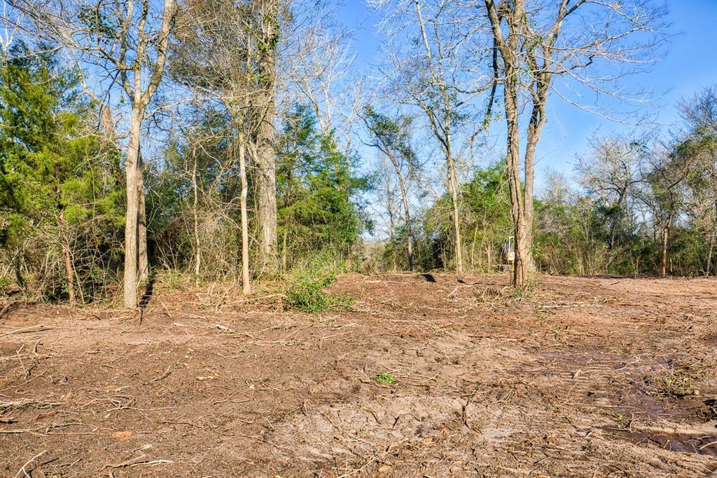 TBD Ellerman Rd Brenham, Tx 77833