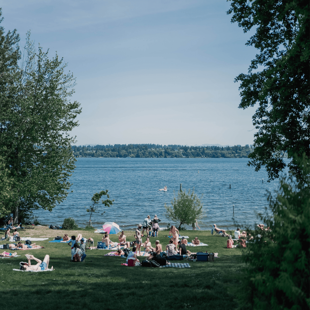 Community Spotlight: Madrona