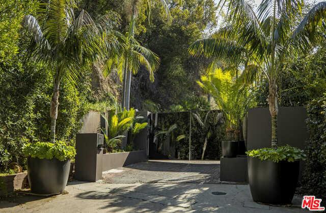 Garden Tranquil