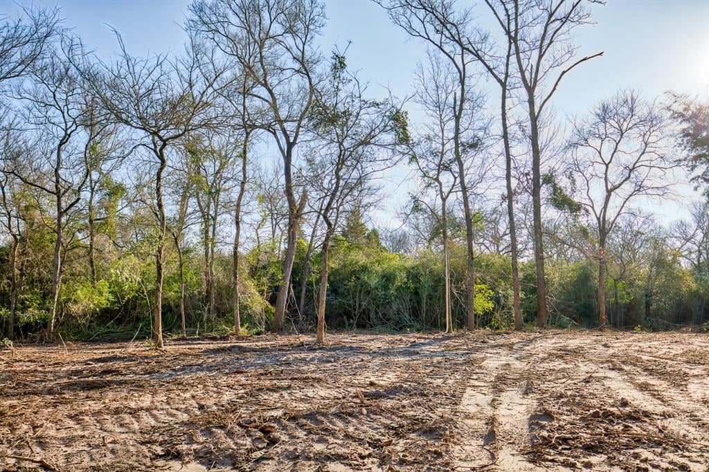 TBD Ellerman Rd Brenham, Tx 77833