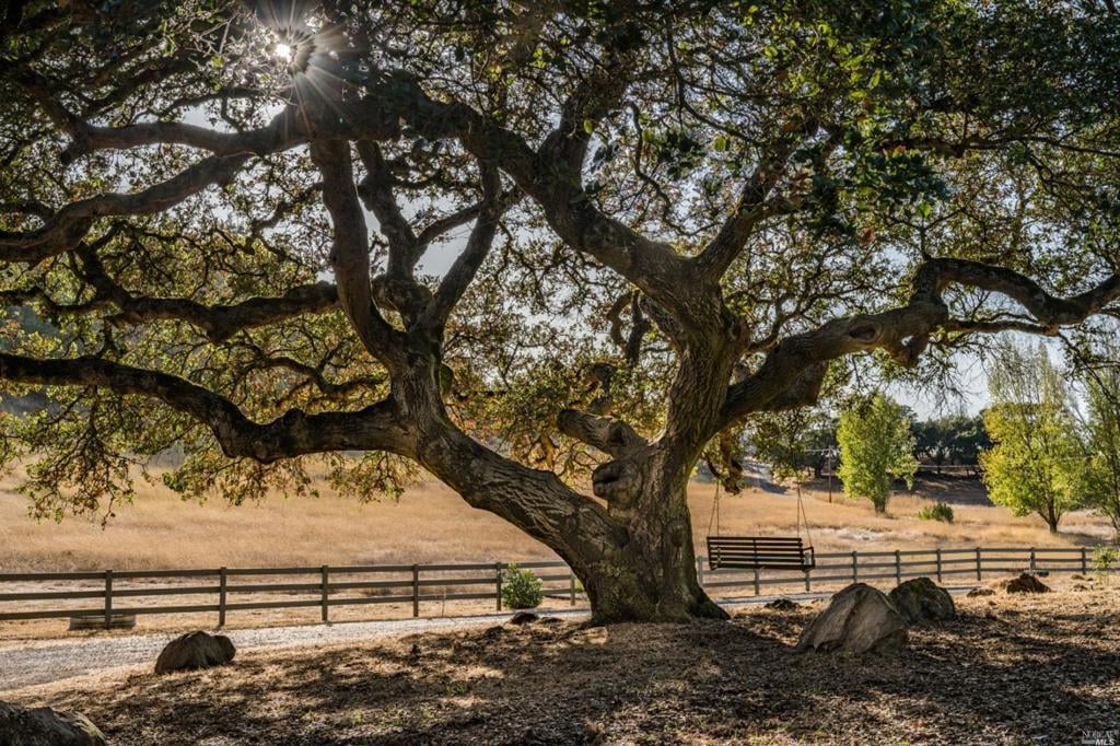 Green Valley Road, Napa