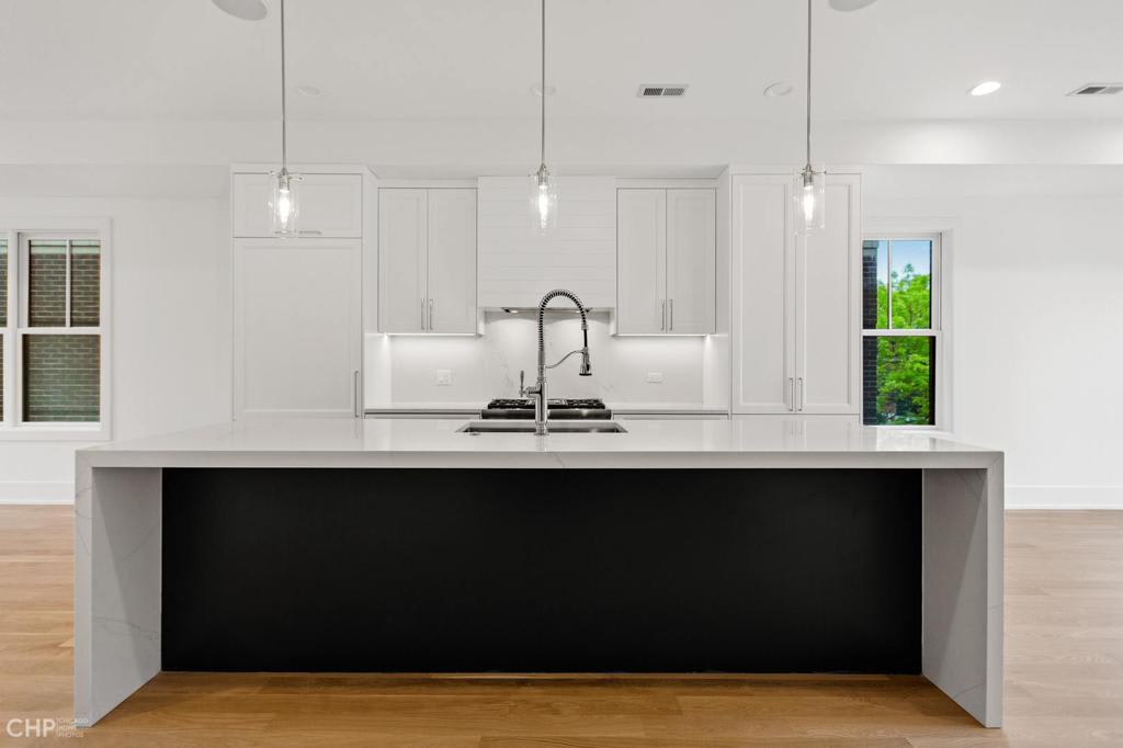 Wicker Park New Construction: 1909 W. Schiller #2E