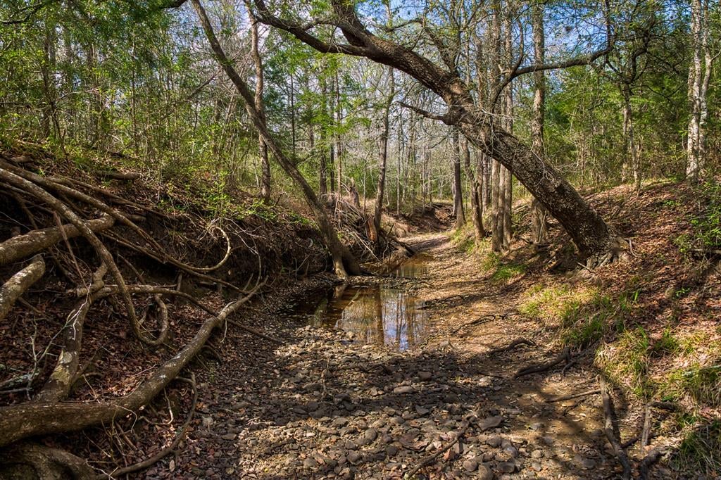 TBD Brushy Rd Fayetteville, Tx 78940