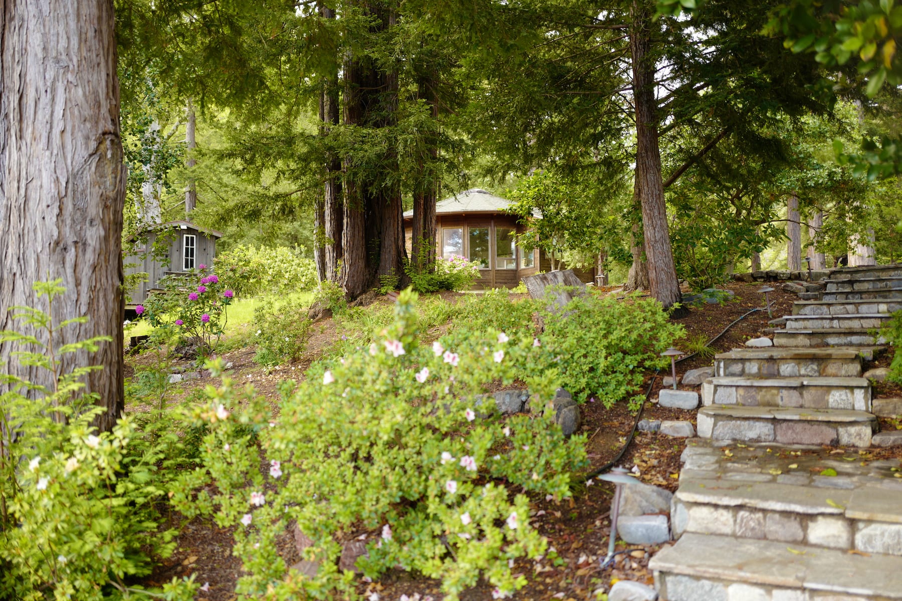 Big Sur Haven - 50740 Partington Ridge Road, Big Sur