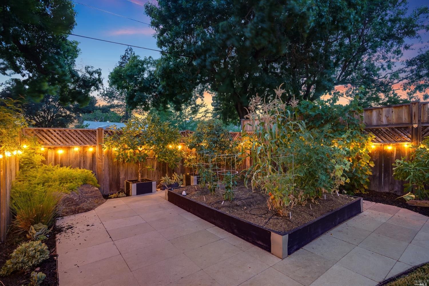 Hartson, Napa