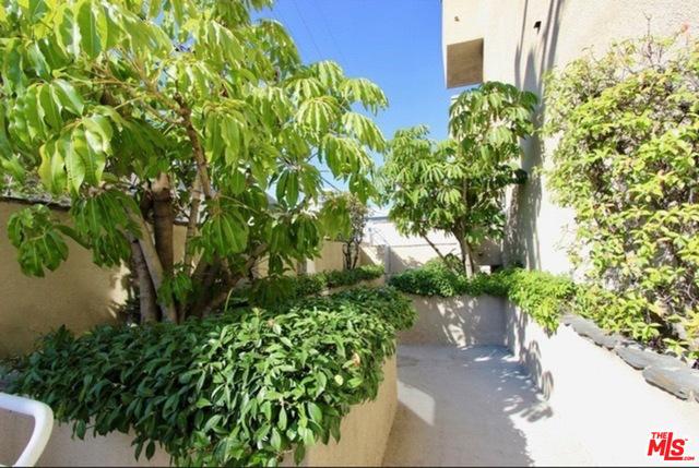 145 Canon Drive #202 