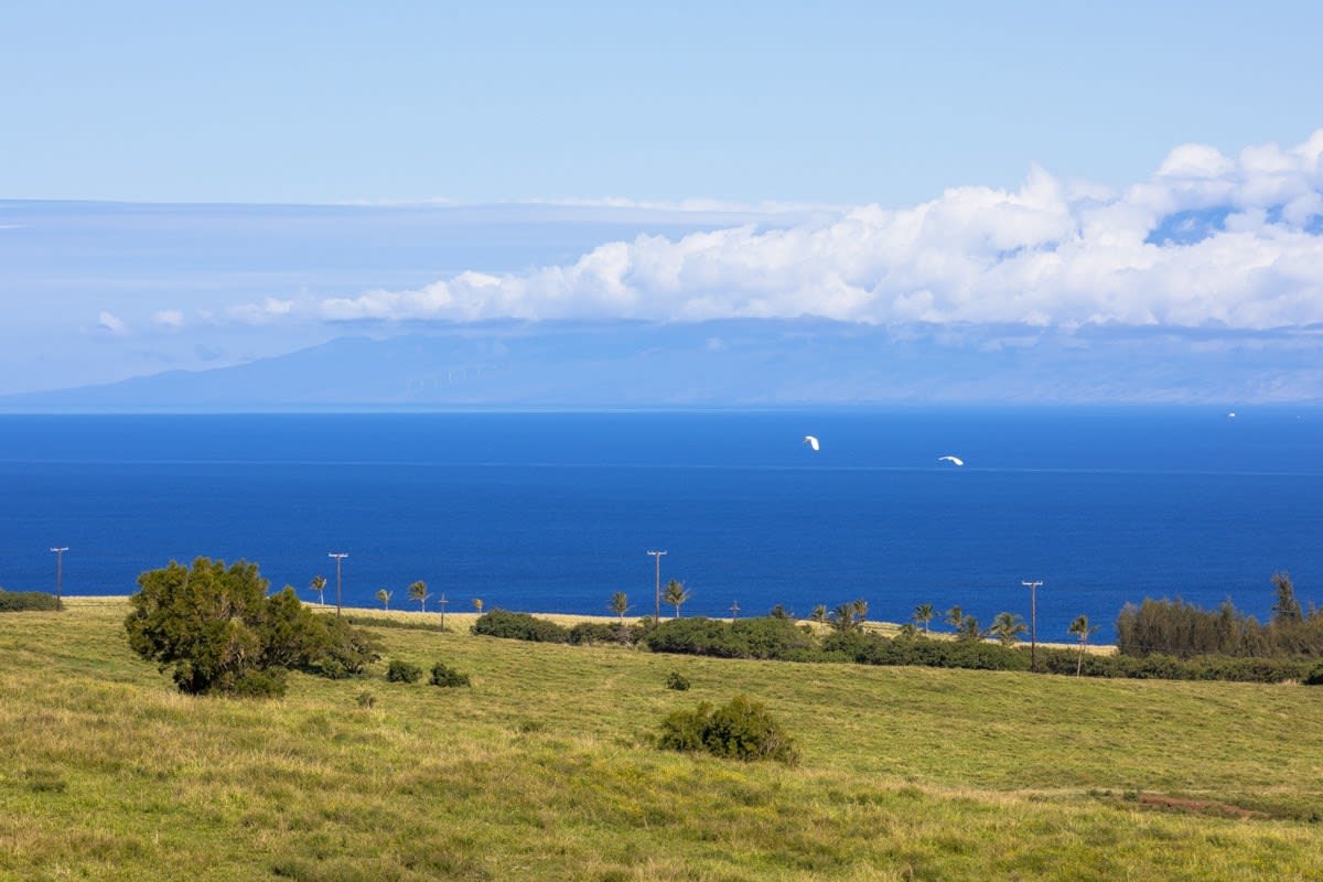 HAWI-KOHALA