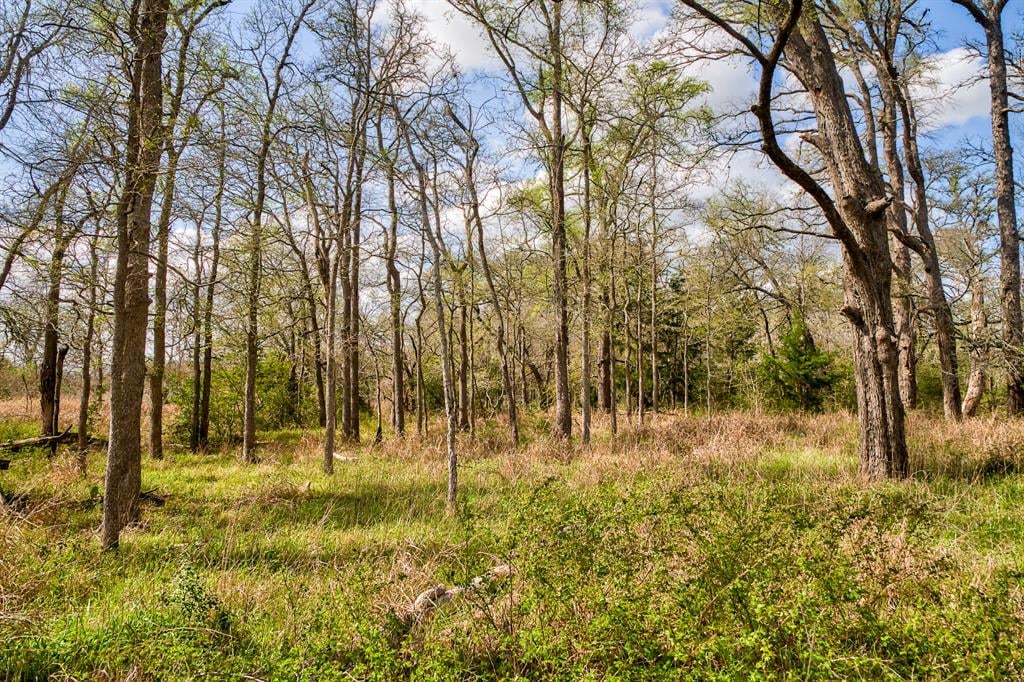 TBD Brushy Rd Fayetteville, Tx 78940