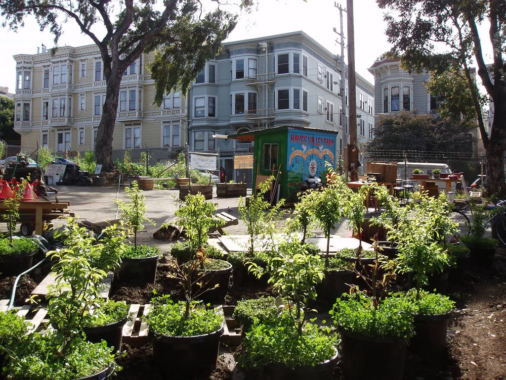 4 Reasons to Move to Hayes Valley