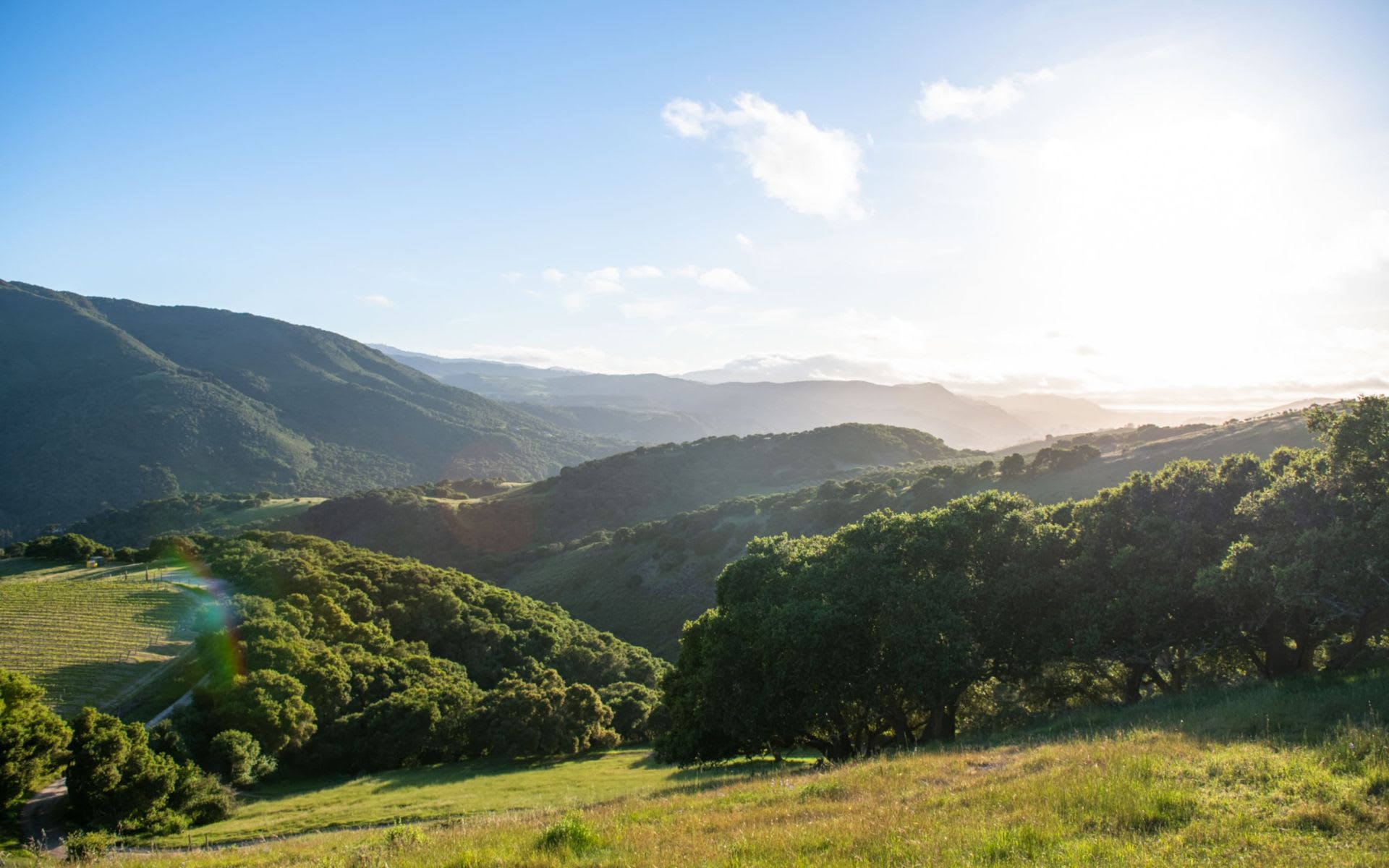 Diamond T Ranch & Vineyards - The Talbott Estate