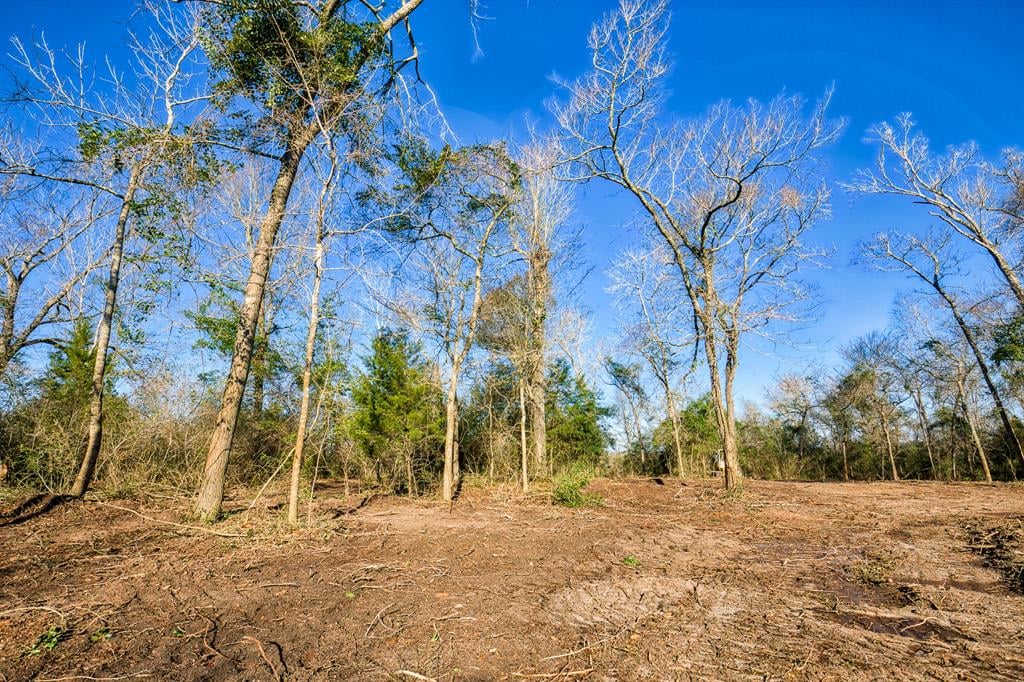 TBD Ellerman Rd Brenham, Tx 77833