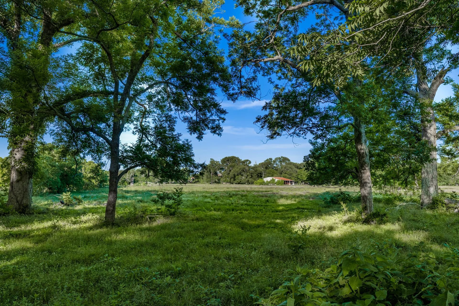 Private Listing: 27.65 Acres b/w Riverstone & Sweetwater