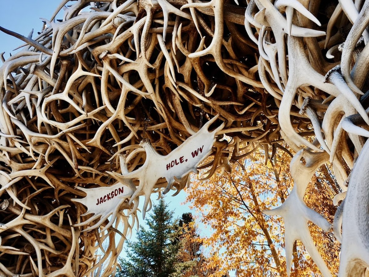 Gratitude in the Tetons: Local Organizations Making a Difference