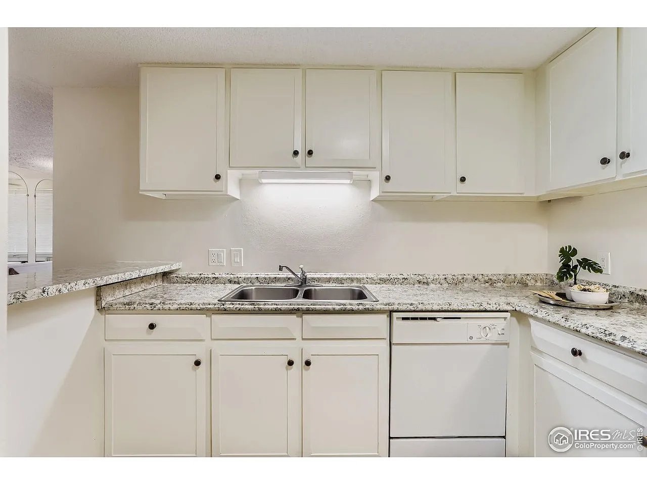 1842 Canyon Blvd #111