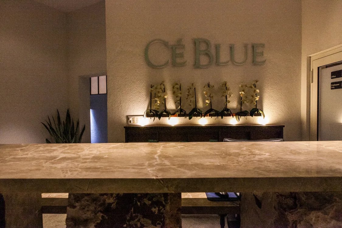 Ce blue Villa