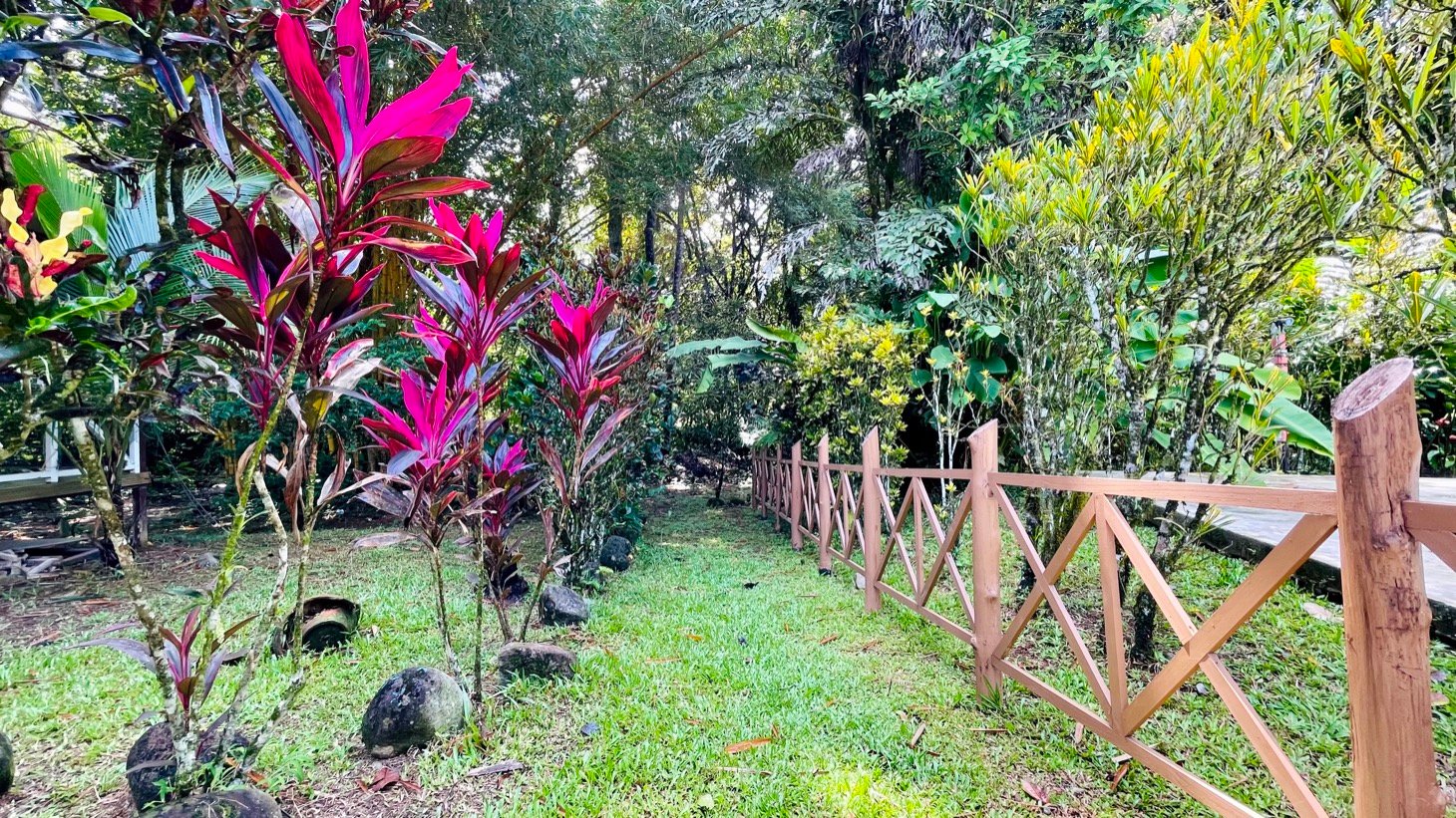 Tropical River Property with Cabinas, Pool & Event Space in Ojochal