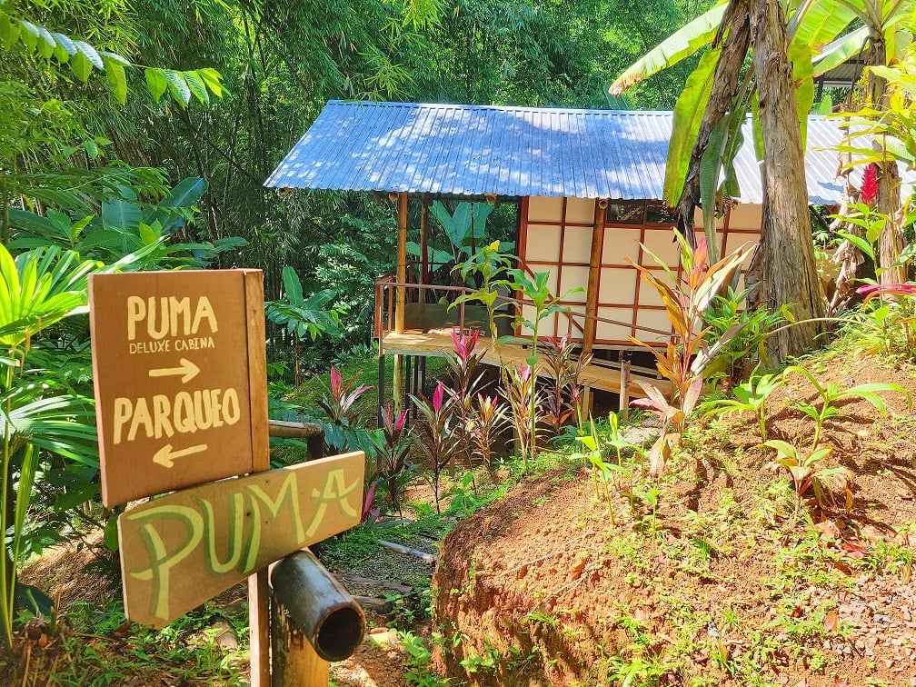 CASCADA ELYSIANA – ECO-RETREAT WITH HUGE WATERFALL