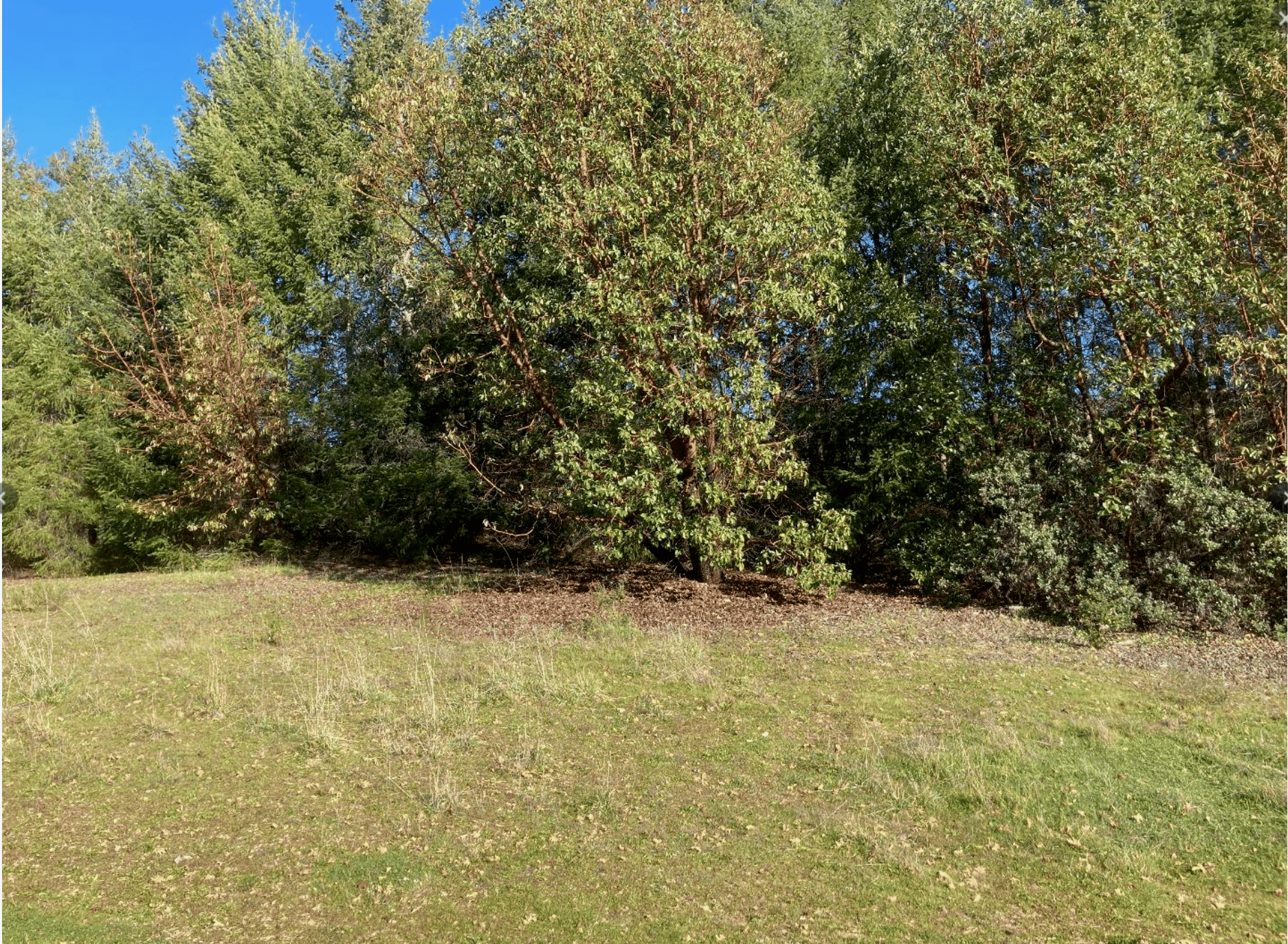 19089 Skyline Boulevard