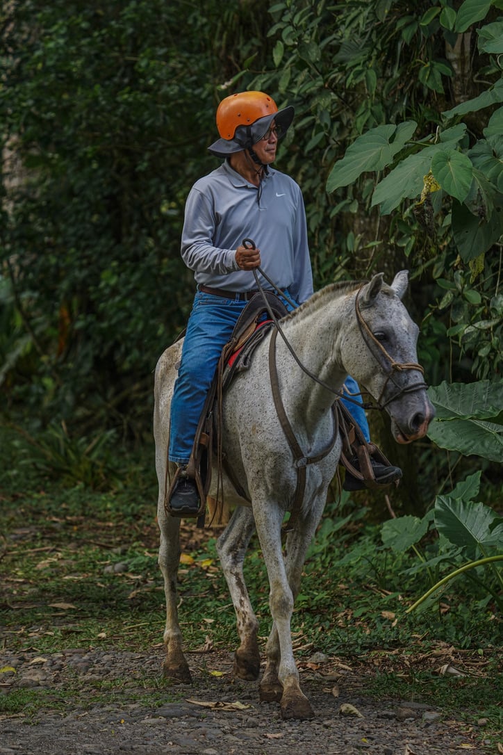 La Monarca