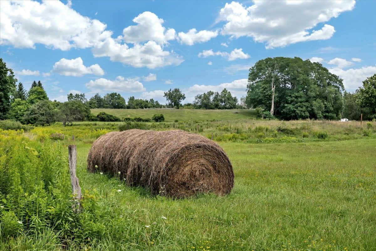 164 Lepper Road | Wenskoski Farm        