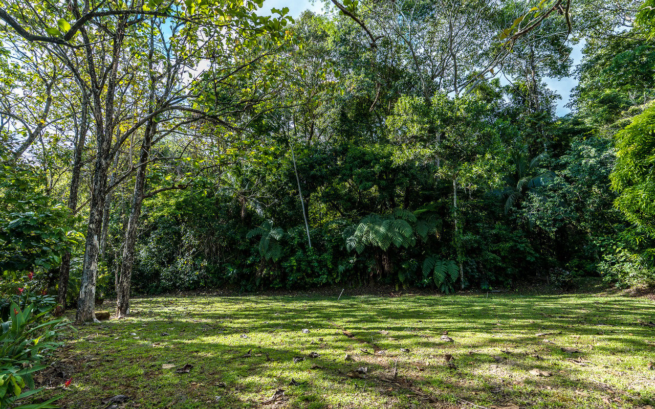 WHALE’S TAIL OCEAN VIEW ESTATE WITH EXTRA LOT 
