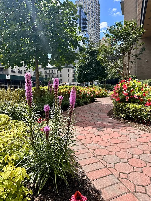 250 East 87th Street Unit: 8D