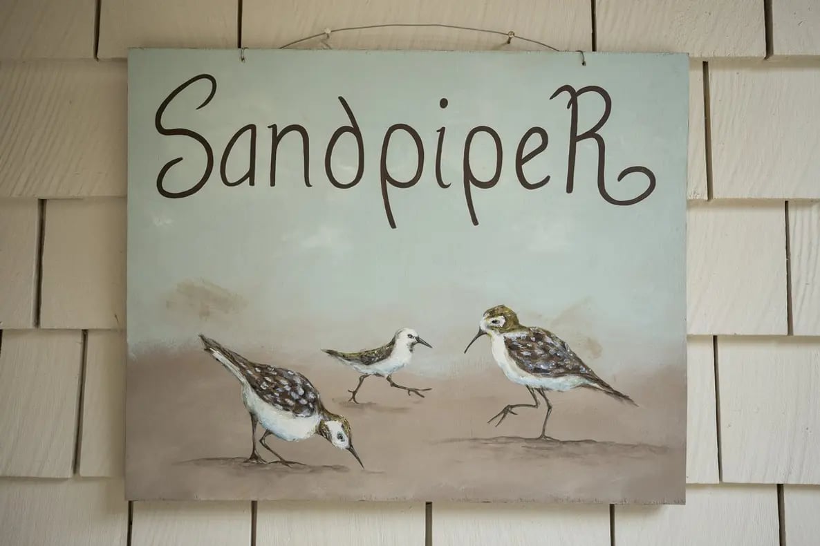 Sand Piper