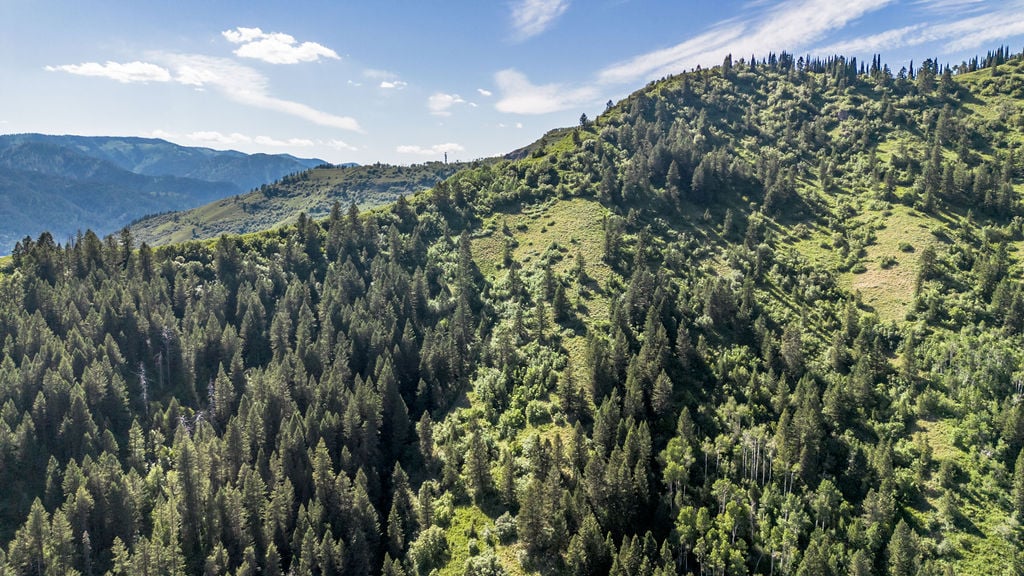TBD 20 ACRES SHADY Lane
