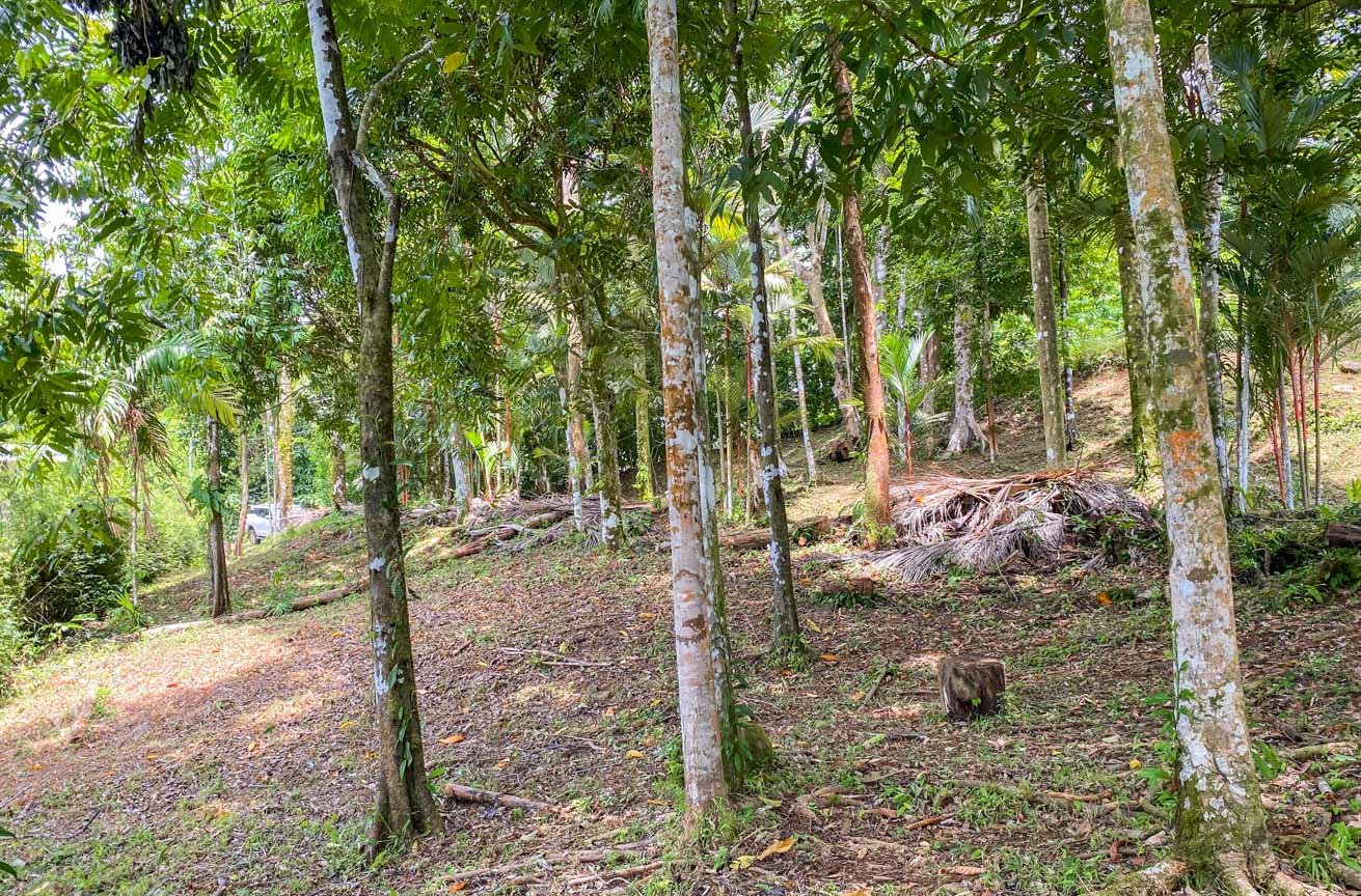Large Uvita Lot With Whale’s Tail Ocean Views, Sunsets & Legal Water – Ready to Build!