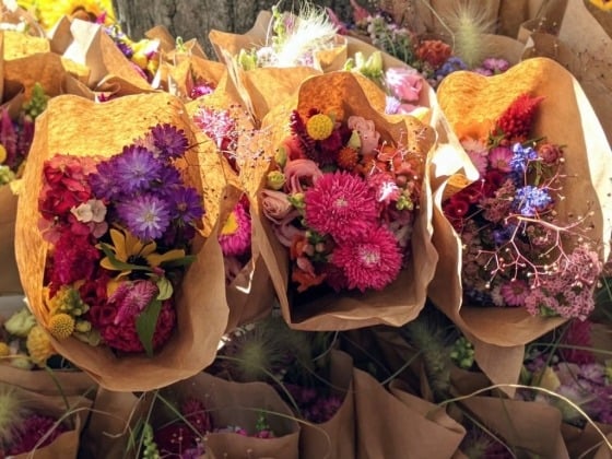 Green City Market - Lincoln Park