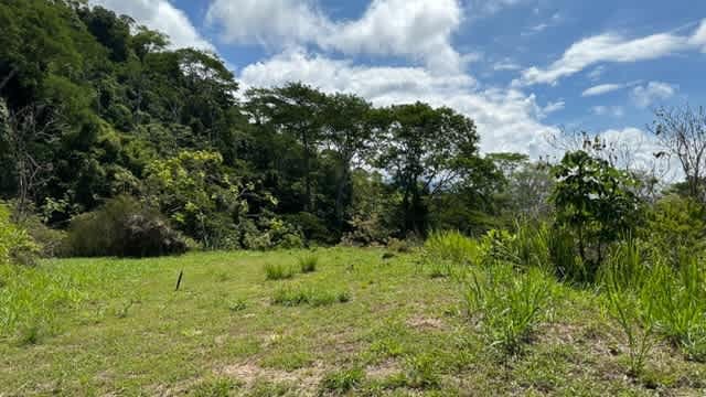 Ocean View Lot Ready to Build, Playa Ventanas! 