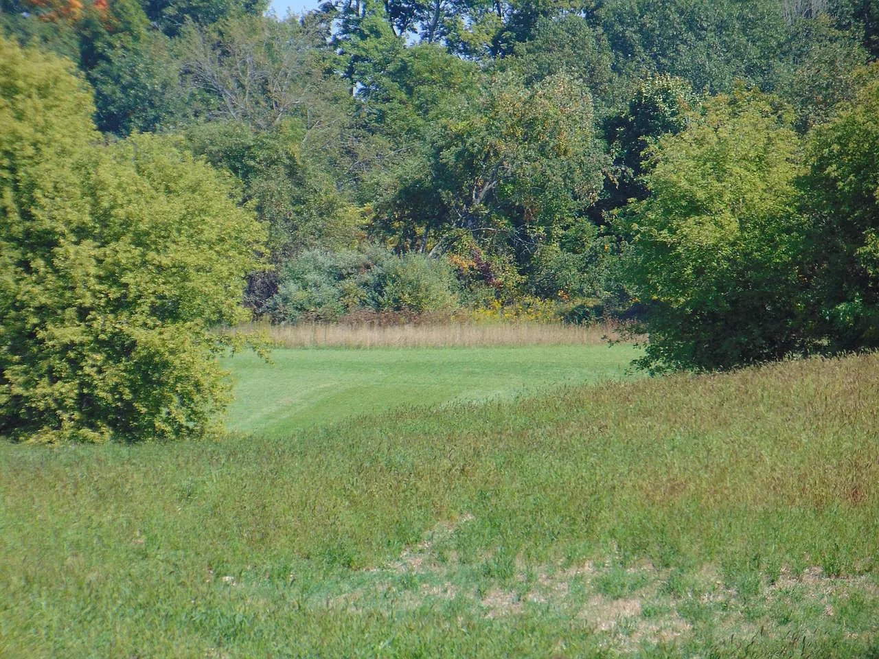 Lot 12 Maple Tree Rd