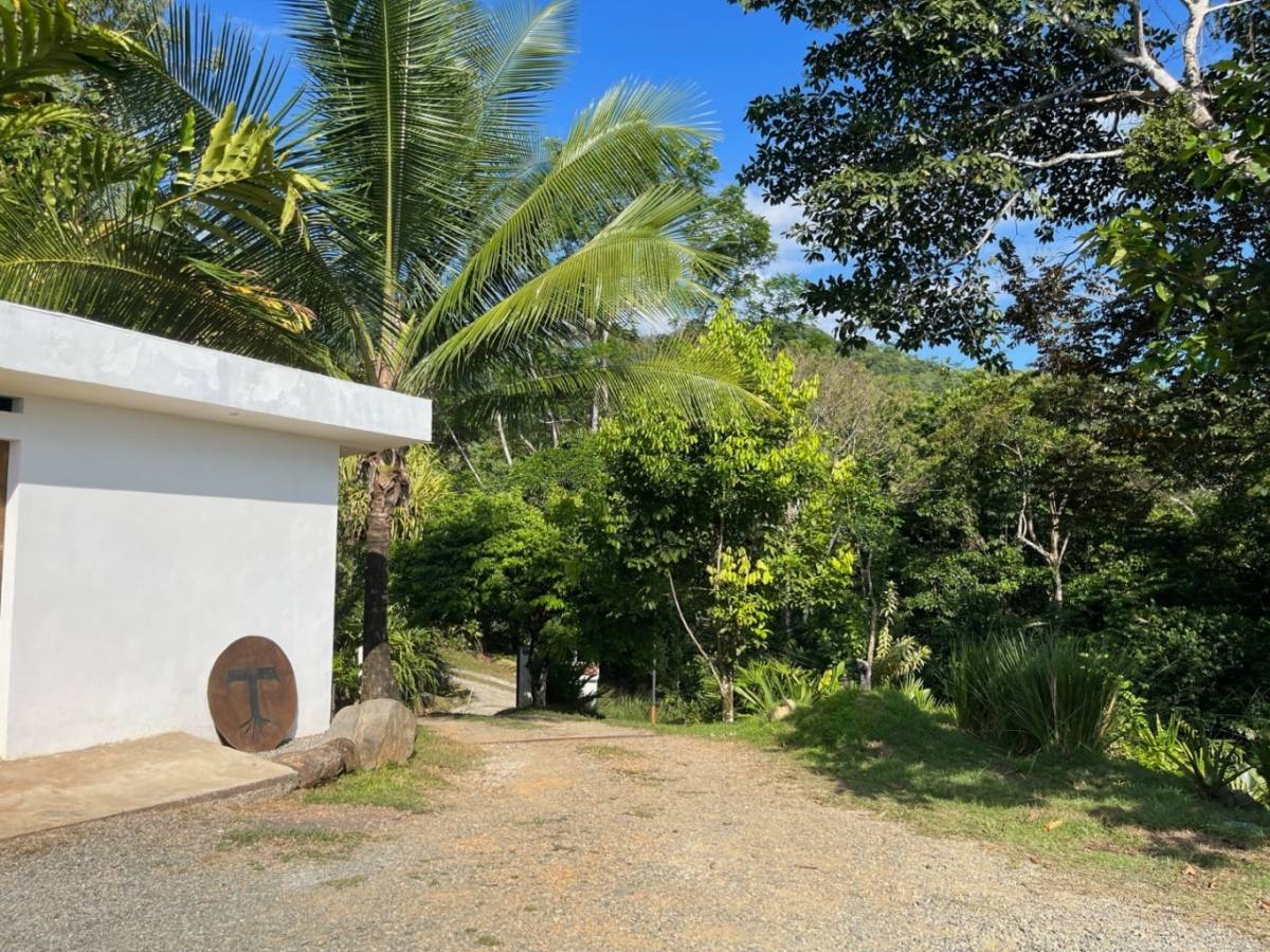 Terra Lodge - Income producing property with two apartments, swimming pool and 1 bedroom home.