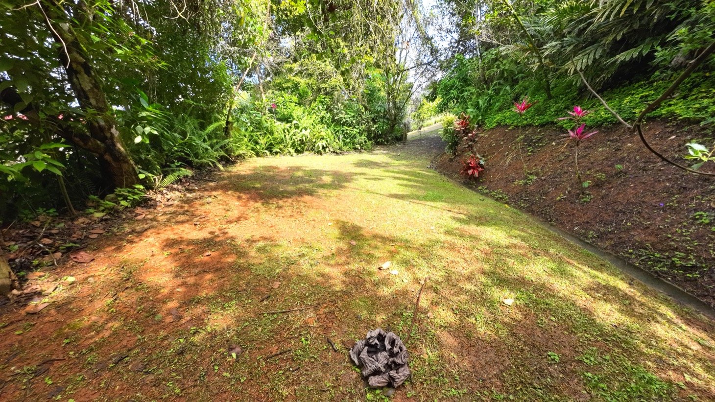 Valley of Dreams - A Beautiful Multi-Use Property Near Cacao Ridge, 10.85 Acres at a Phenomenal Price!