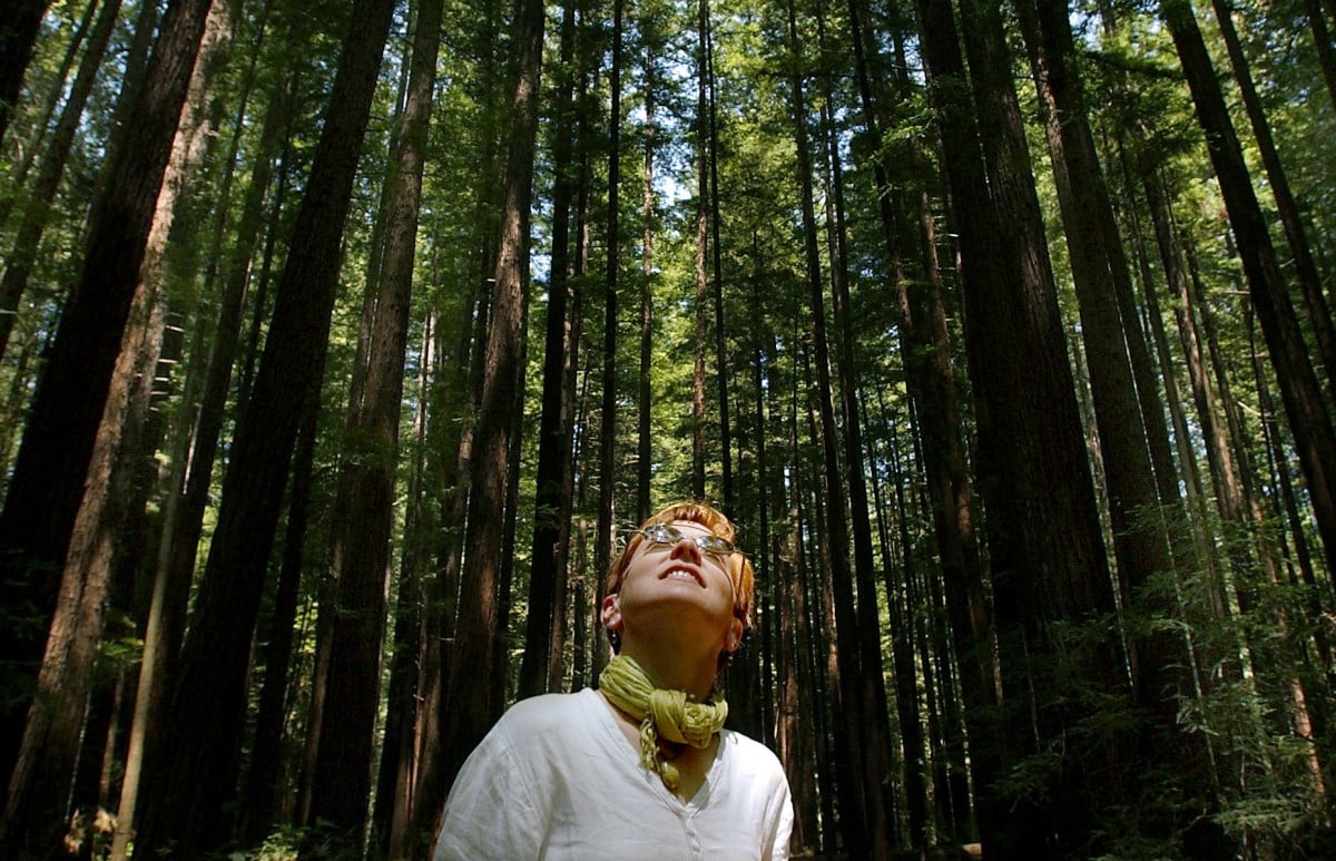 Where to De-Stress for Less in Sonoma County