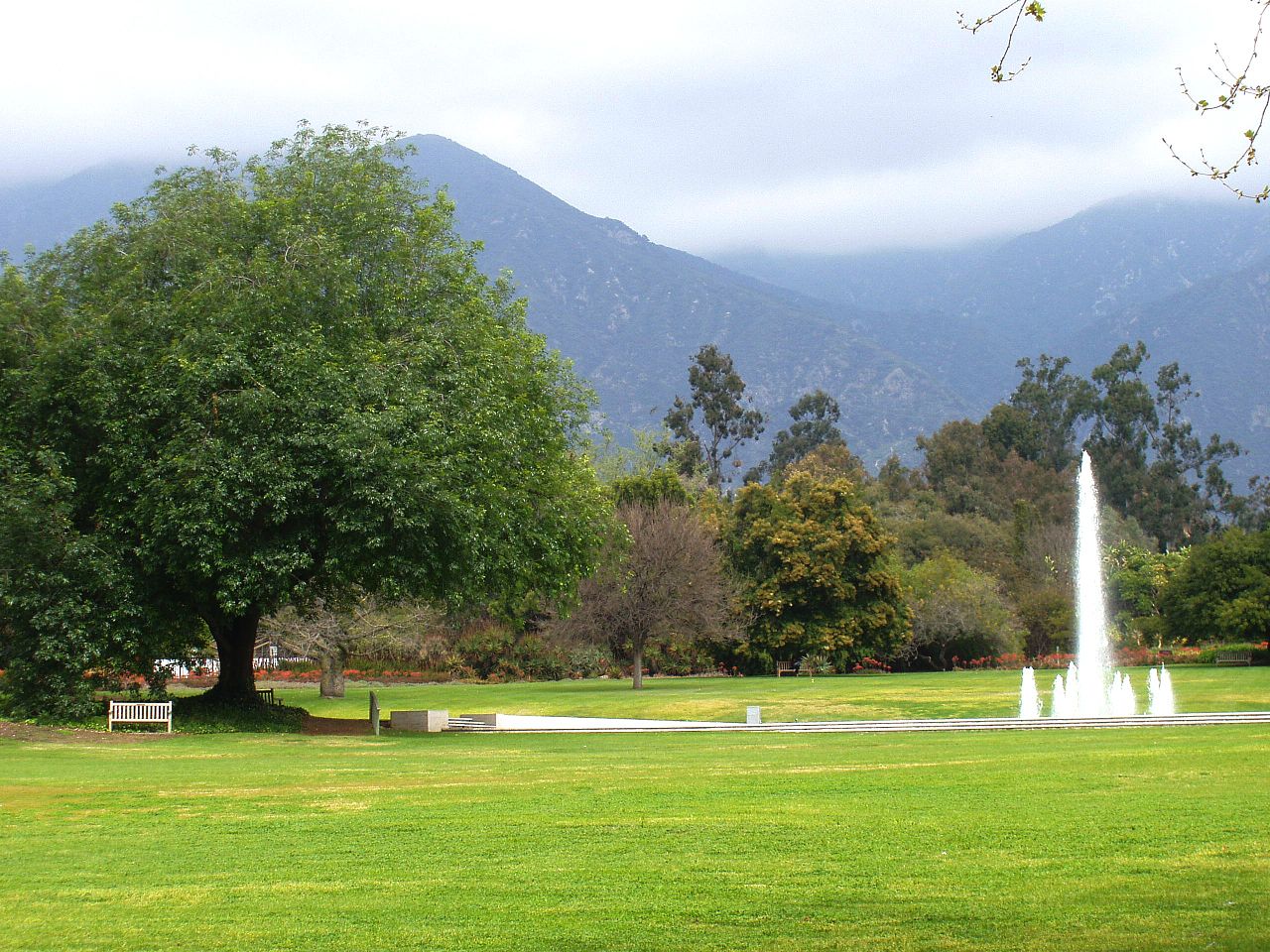 Arcadia