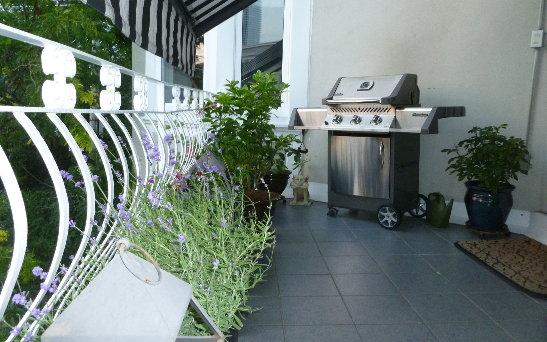 75 Crescent Rd, #301