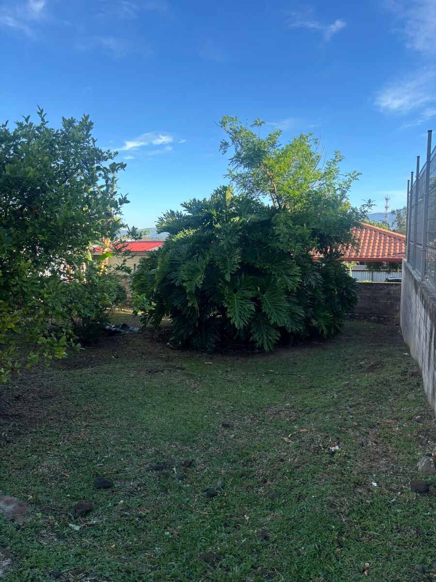 Prime Mixed Use Lot, Ciudad Colon, San Jose
