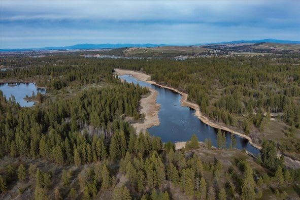 North Spokane 