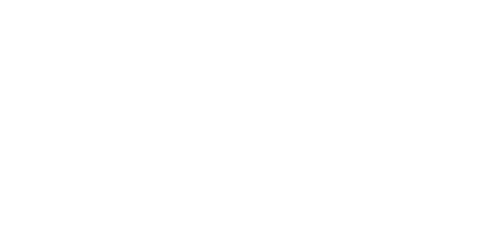 Light Logo