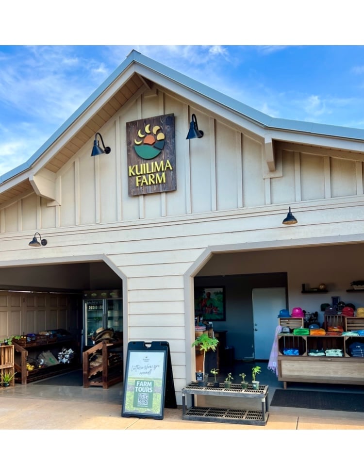 Turtle Bay Kuilima Collection 101 East