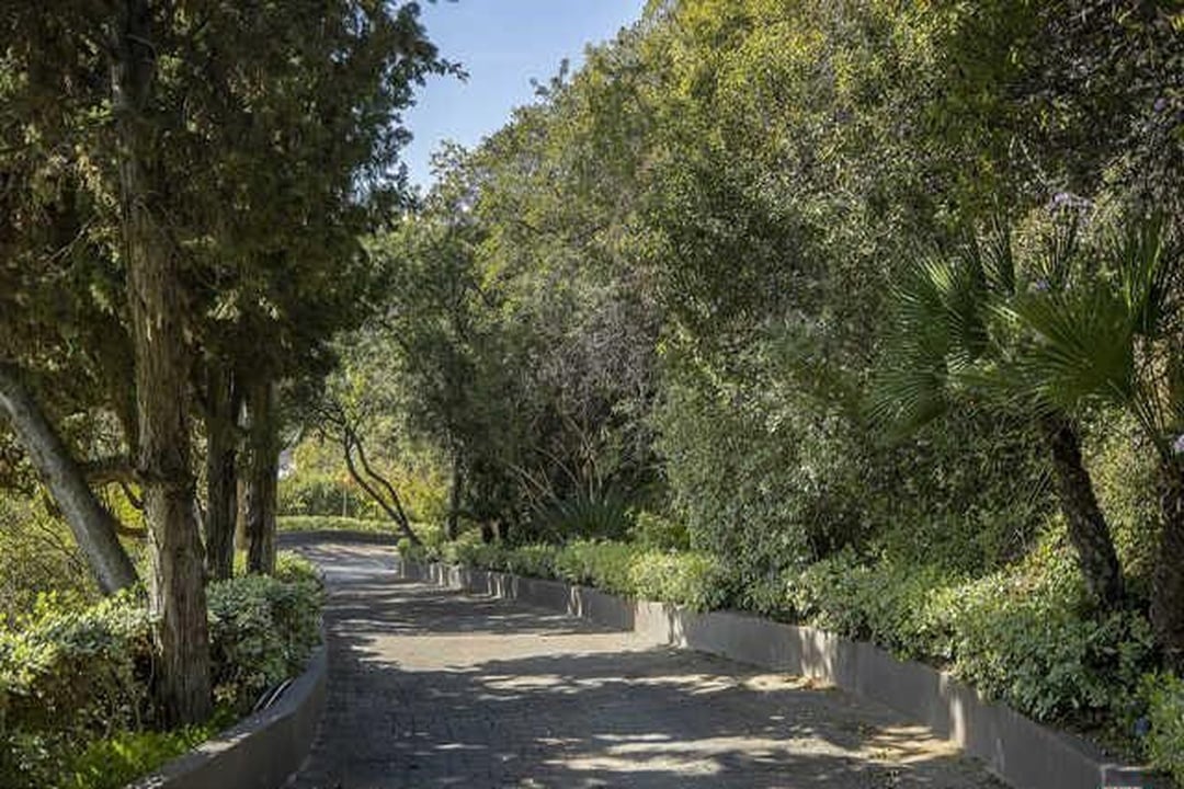 Garden Tranquil