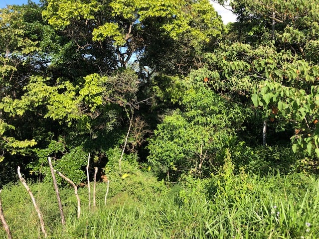 1.24 ACRES – Alto de San Juan, TOP OF THE WORLD VIEWS, Cool Breezes, Ready to Build Your Dream!!!!!