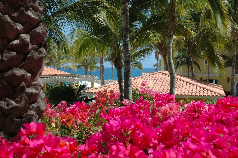 Cost of Living in Cabo