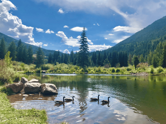 East Vail