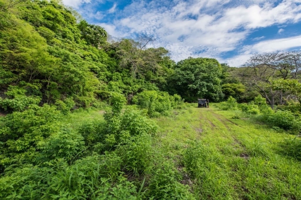 Ocean View Gated Development Lot, Tamarindo, Guanacaste
